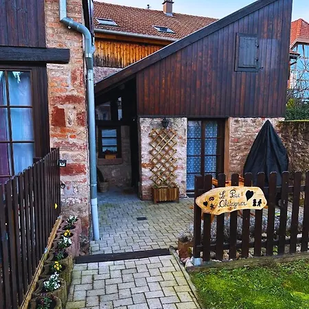 Apartament Le Petit Châtaignier - Cozy Immo Châtenois