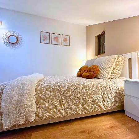 Le Petit Chataignier - Cozy Immo Châtenois