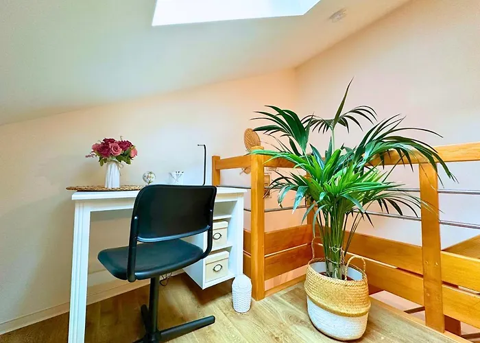 Le Petit Chataignier - Cozy Immo Appartement Châtenois