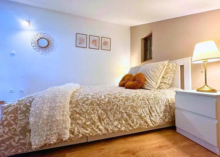 Le Petit Chataignier - Cozy Immo Châtenois